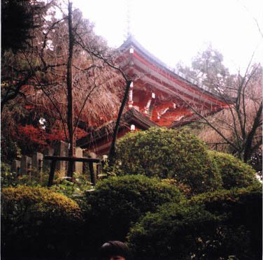 Picture of Kurama Shrine